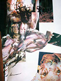 collage2.jpg