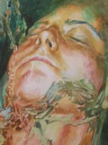 water_head_003